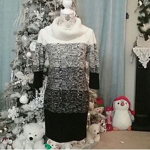 Cowl Neck 3/4 Length Sweater Dress Sandra Darren M